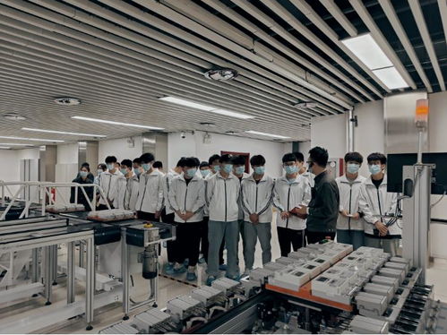 河南網絡技術服務蓬勃發展，助力數字強省建設邁入新階段